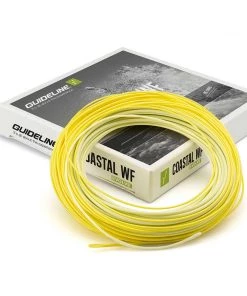 Guideline Coastal WF Evolve Fly Fishing