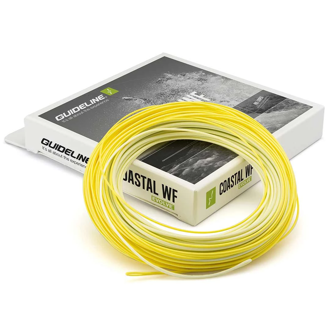 Guideline Coastal WF Evolve Fly Fishing 3 Guideline Coastal WF Evolve Fly Fishing